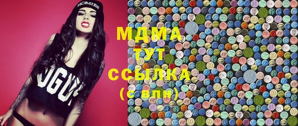 СК Алексин