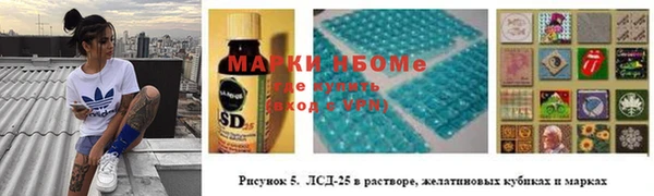 СК Алексин