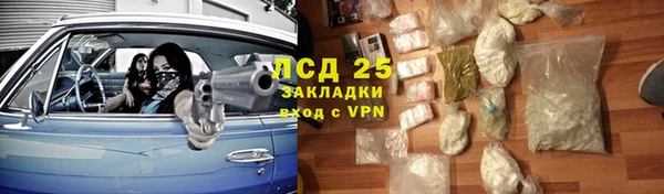 СК Алексин