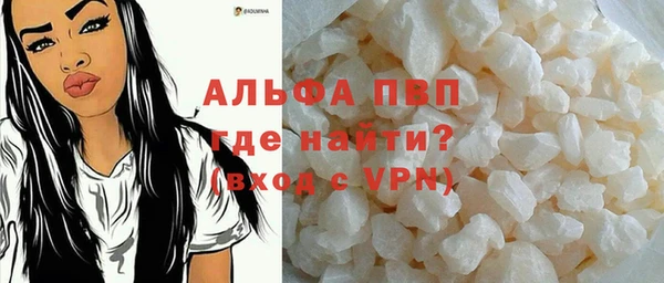 СК Алексин