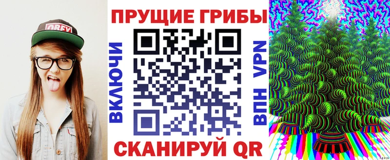 Галлюциногенные грибы Magic Shrooms где купить Малоархангельск